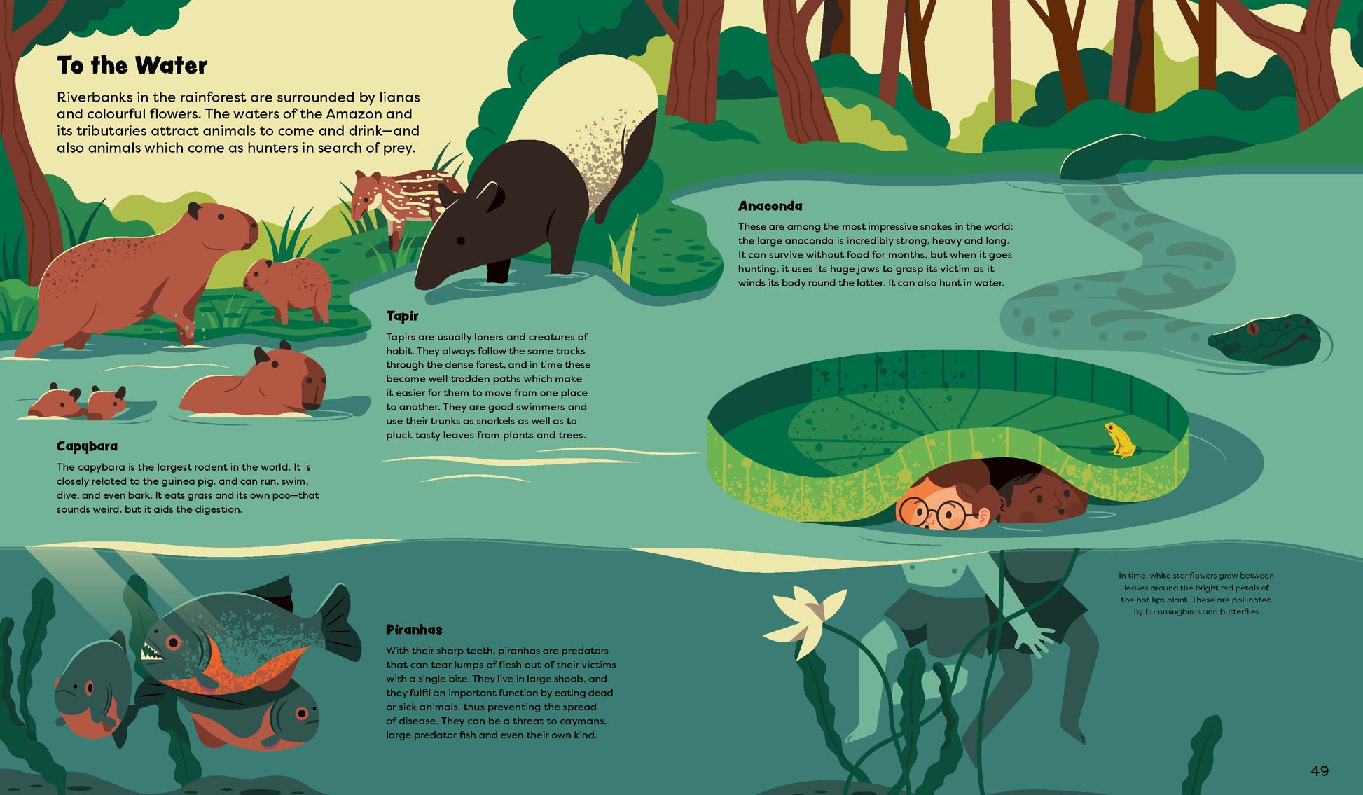 Explore the Rainforest Emma and Louis in the Jungle