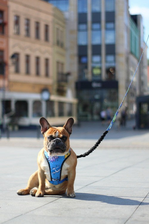 a gentle side view of the blue graffiti dog harness showing its soft mesh and comfortable fit