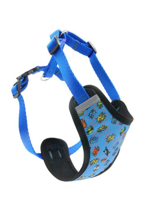 playful blue graffiti dog harness on a happy golden retriever in a sunny park