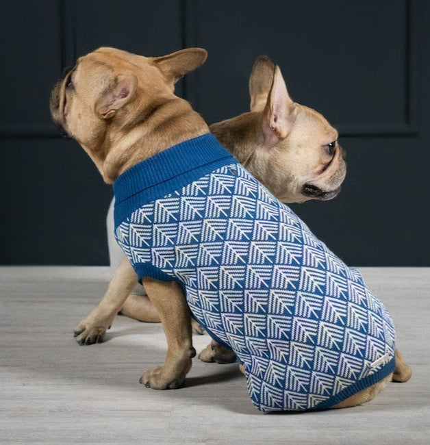 confident dog modeling a bold navy blue pullo sweater with soft pastel stripes