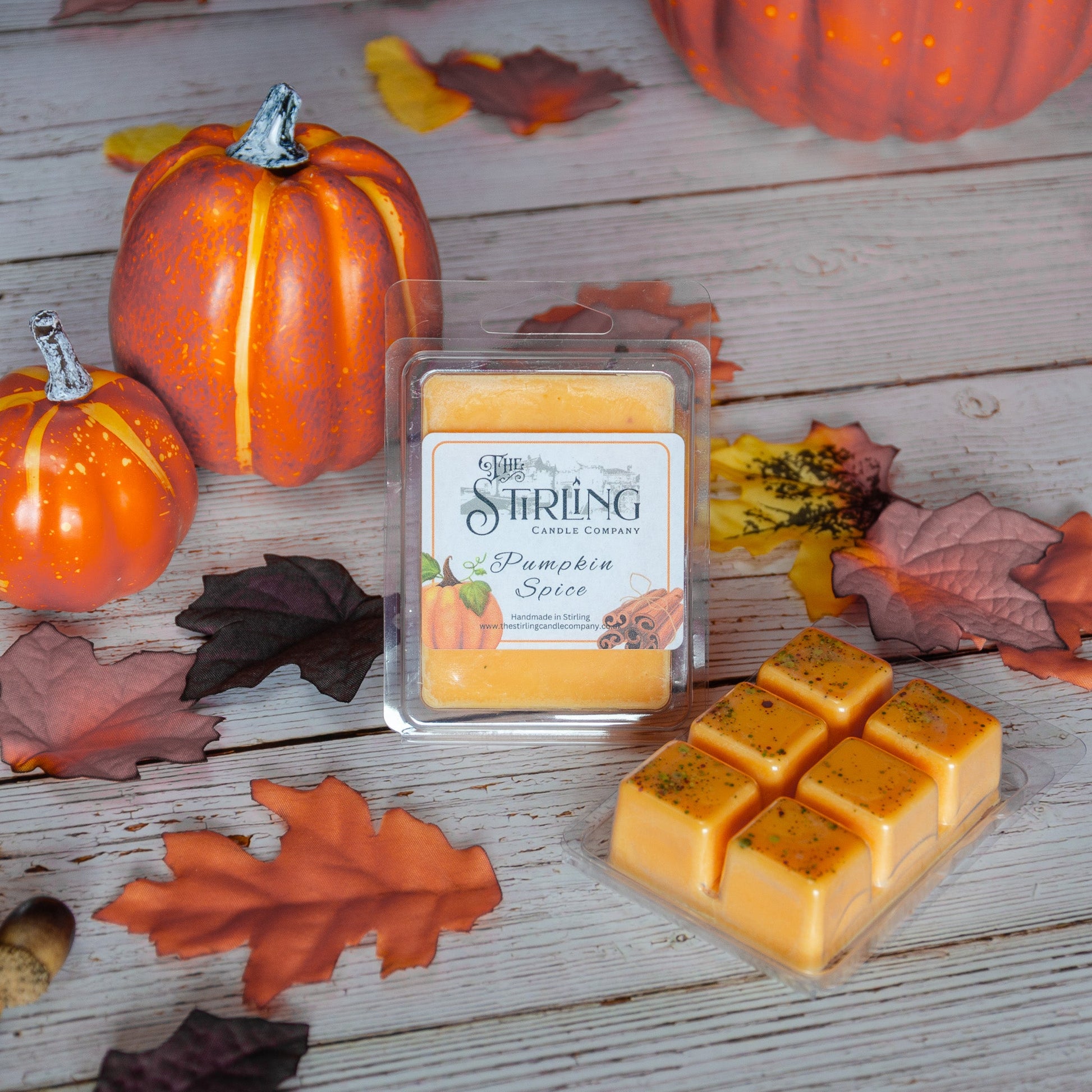 Pumpkin Spice Wax Melt Clamshell