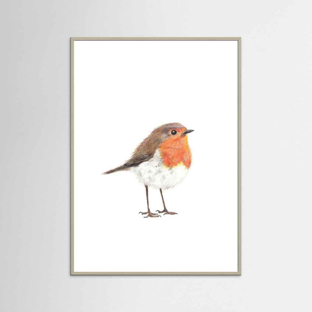 Robin Art Print Wildlife Wall Art for Nature Lovers