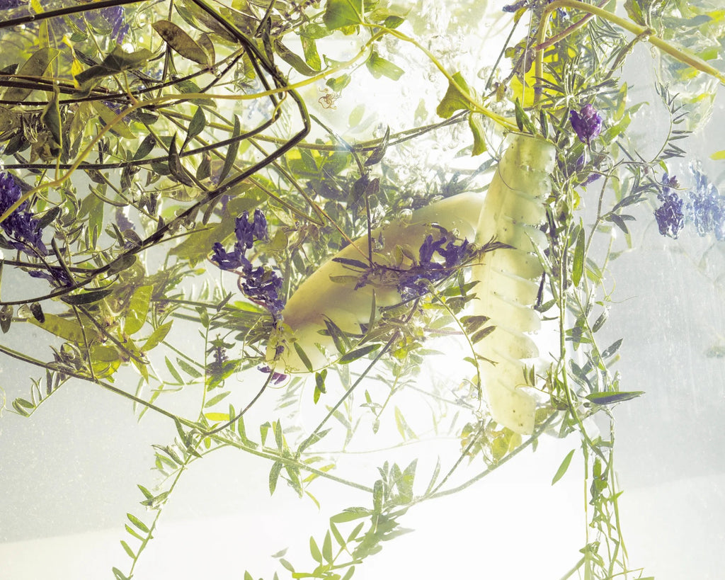 GUA SHA Growth Promoting Scalp Comb