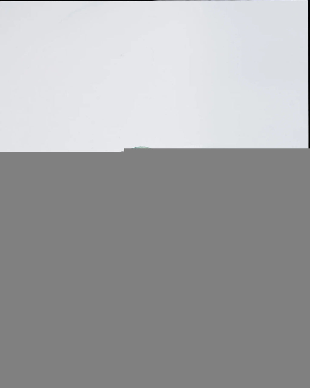 GUA SHA Growth Promoting Scalp Comb