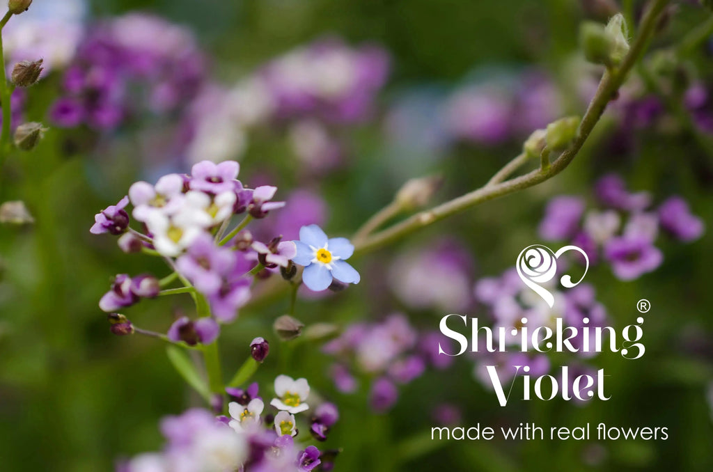 Real Flower Necklace Sterling Silver Oval Pendant