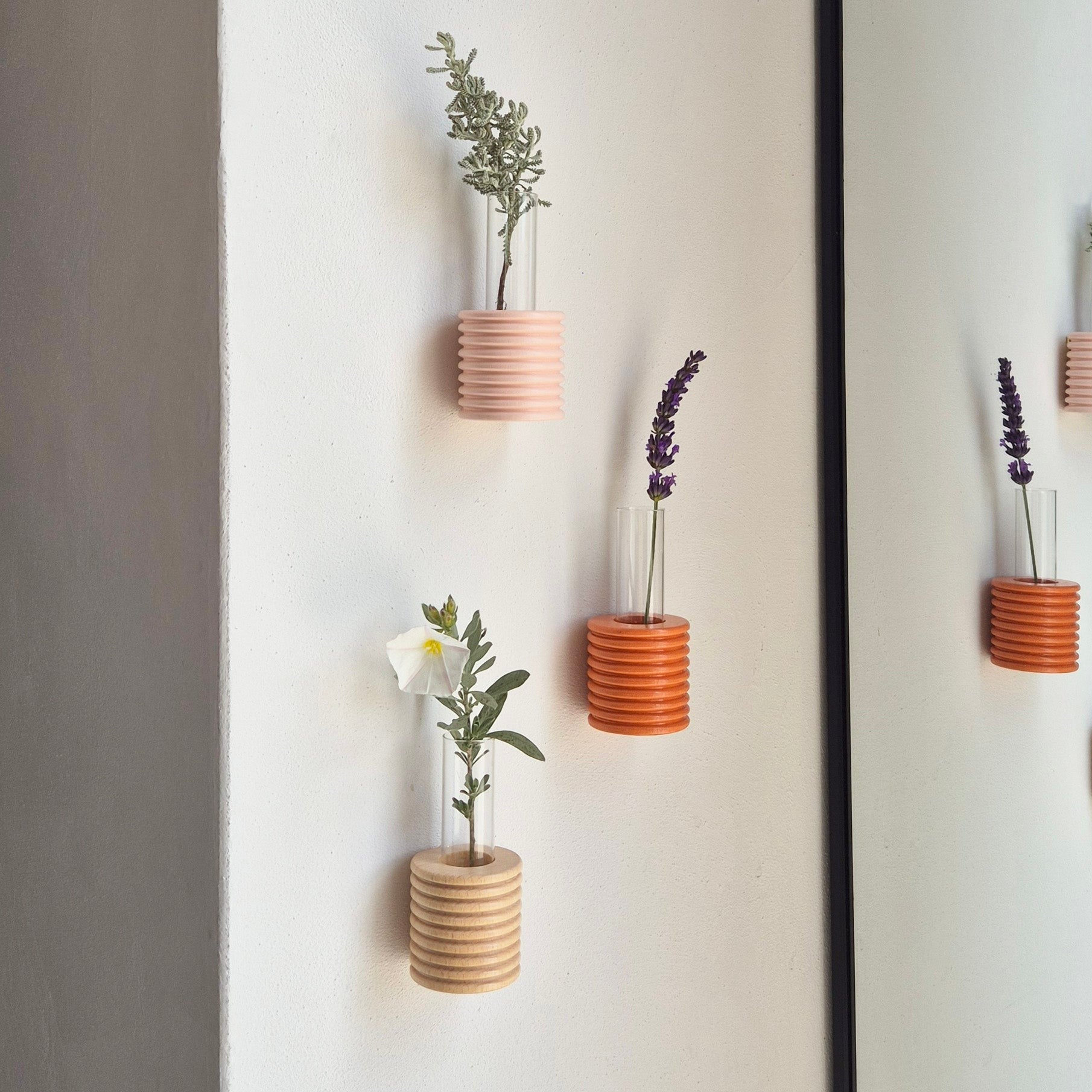 elegant orange beech wood wall vase with a single dried flower in soft morning light