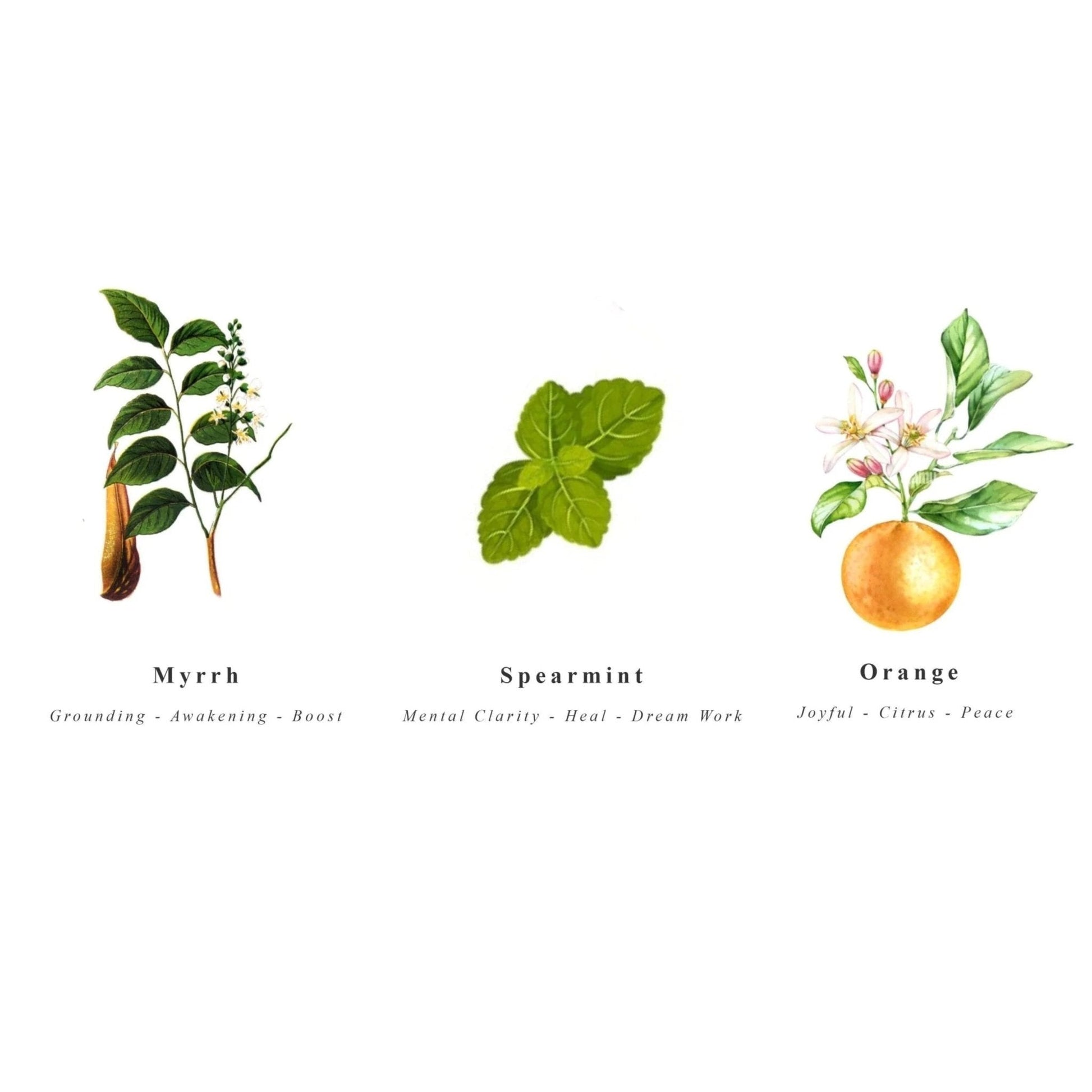 Ritual and Meditation Box Joy