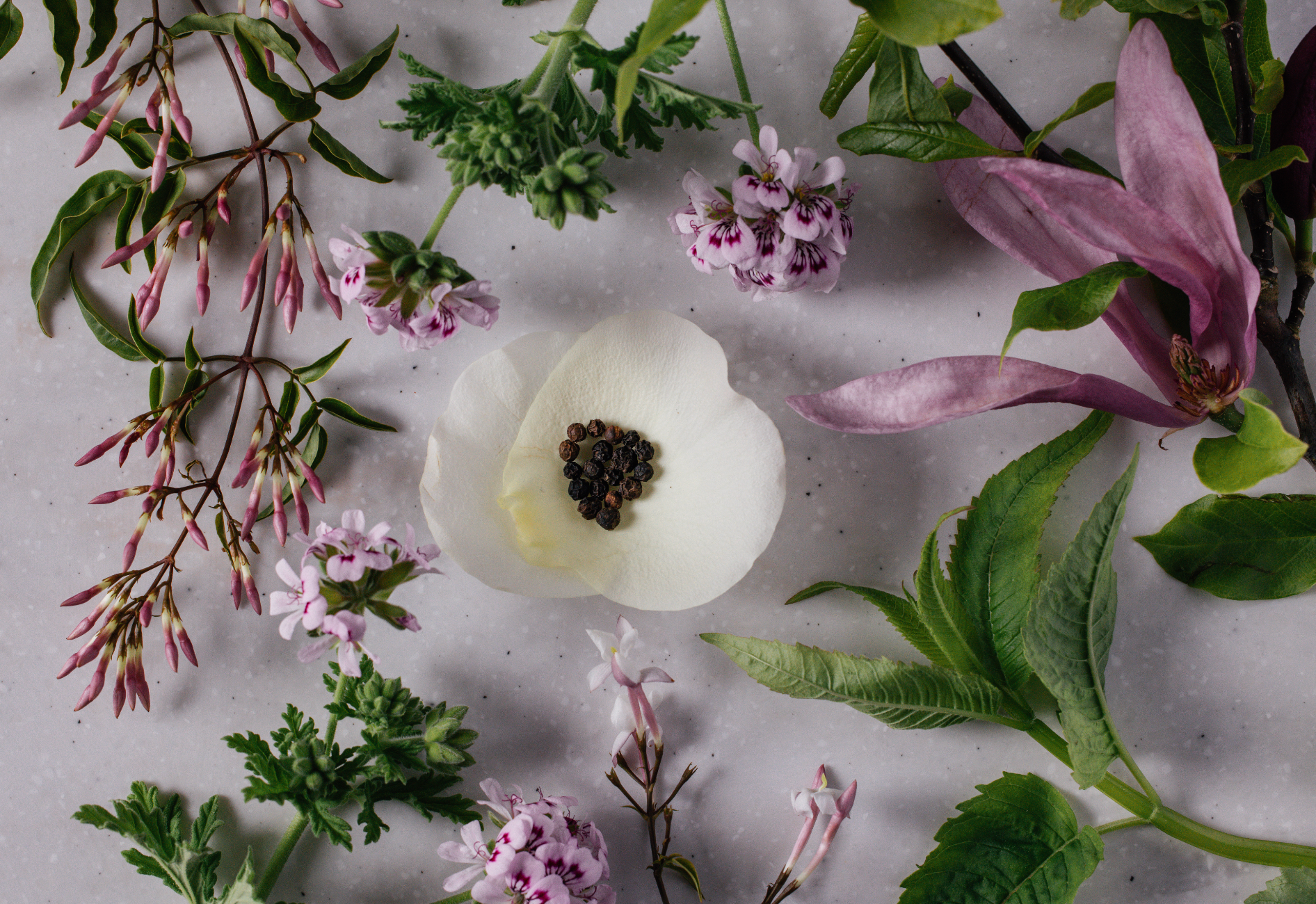 Rose Reed Diffuser in Fine Bone China with Gold Accents