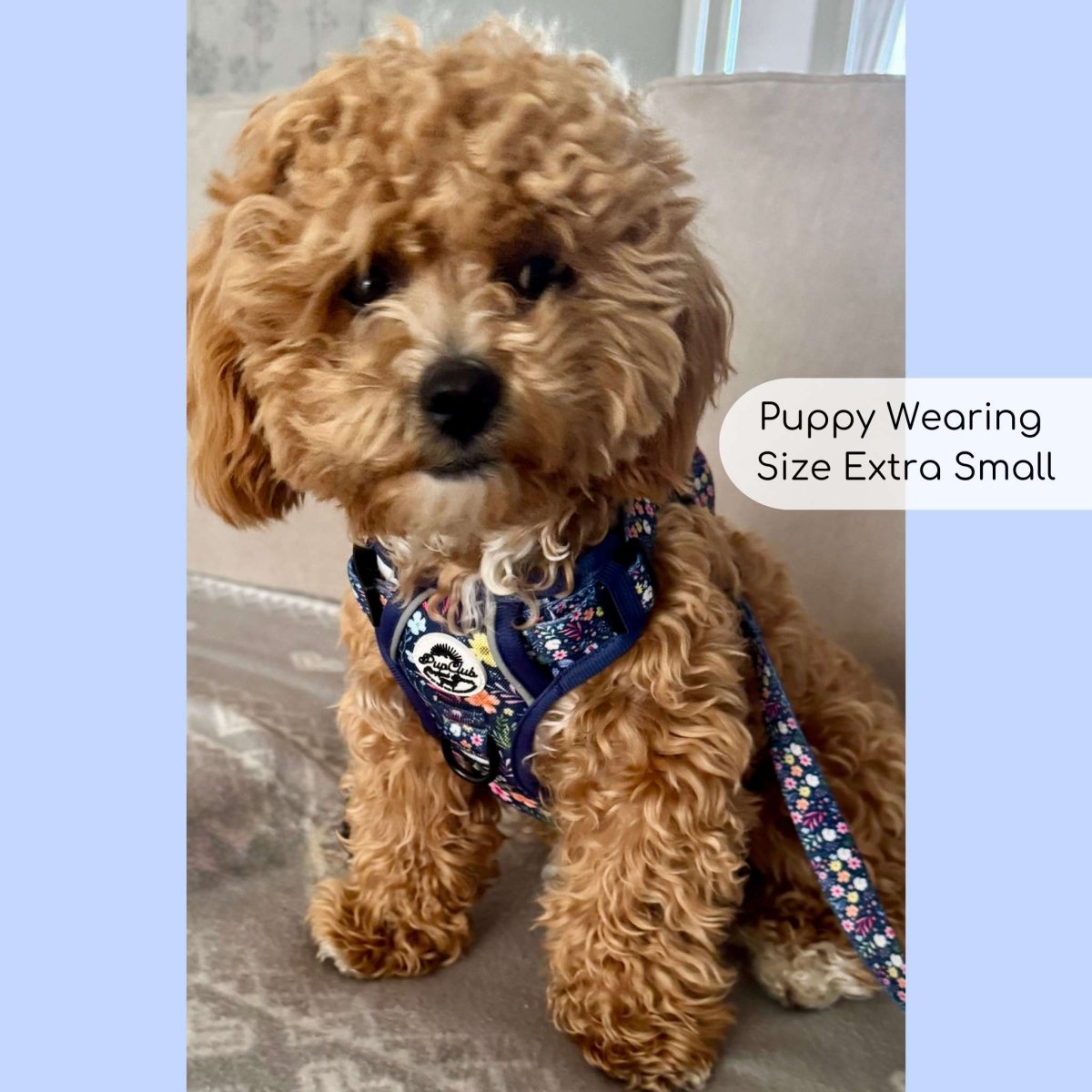 Summer Meadow No Pull Dog Harness