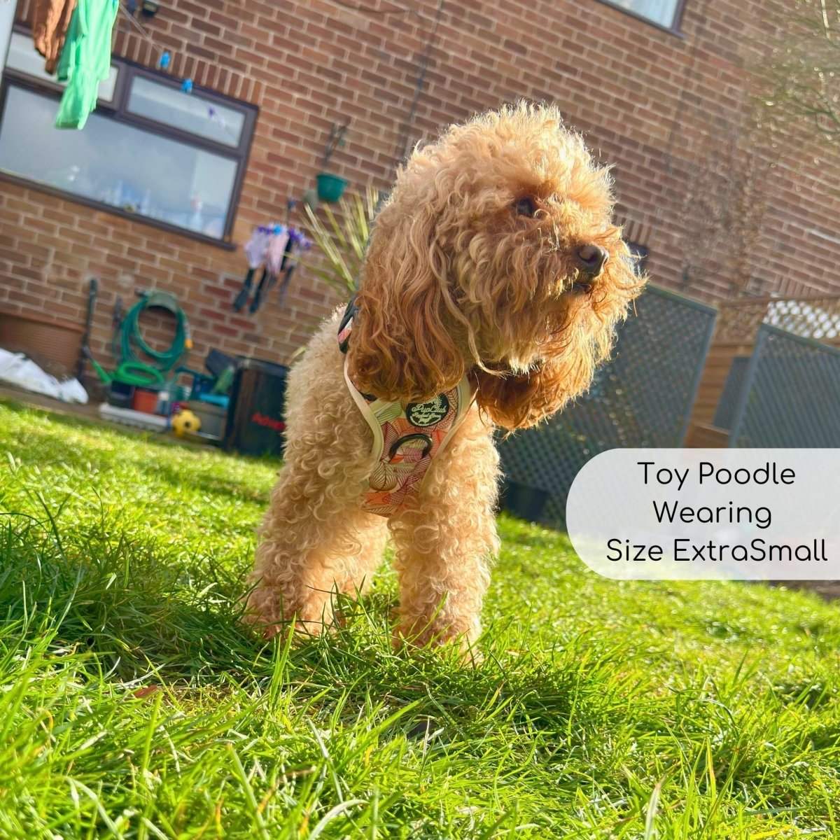 Rugged Rover Harness Autumn Breeze No Pull