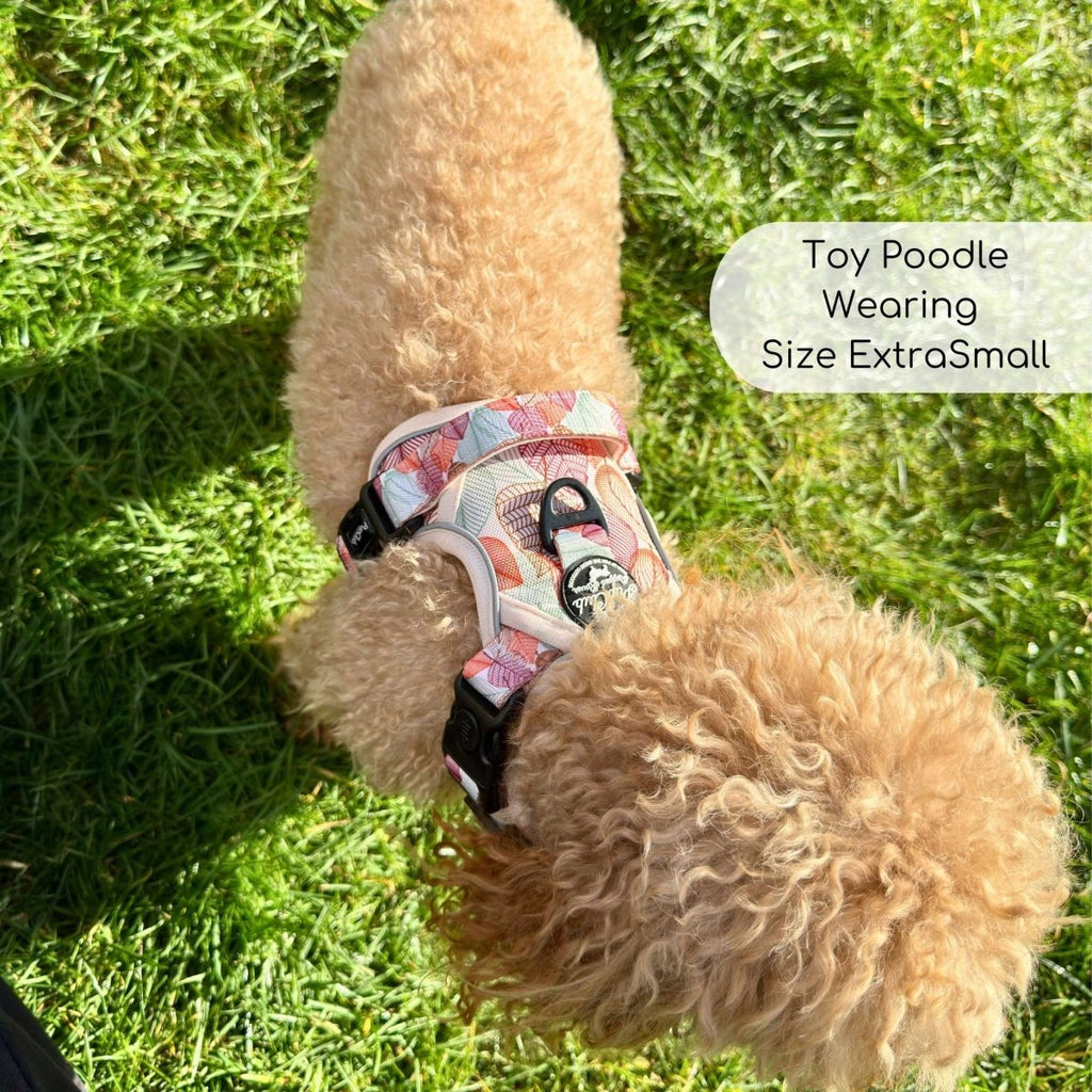 Rugged Rover Harness Autumn Breeze No Pull