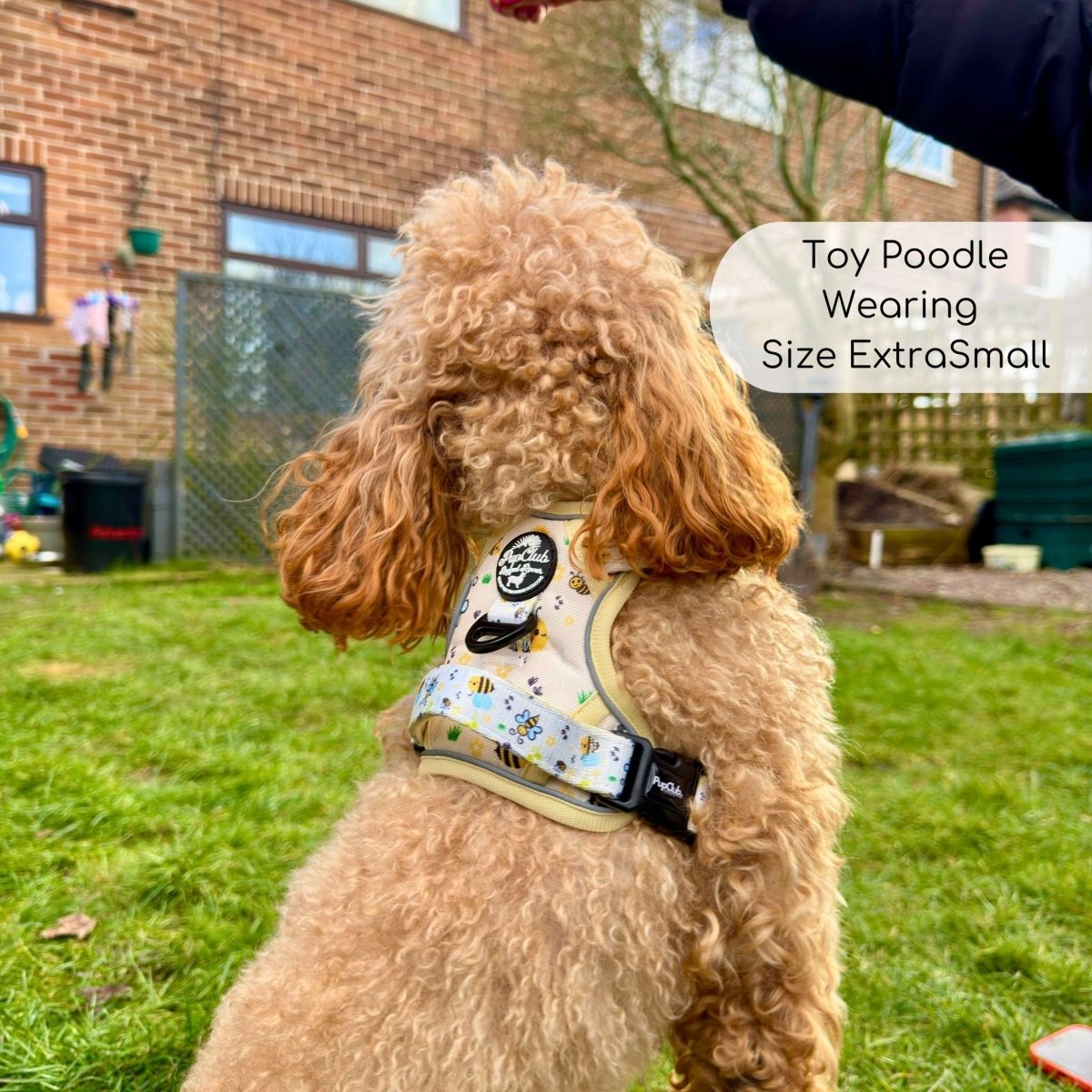 Bee-utiful Summer No Pull Dog Harness