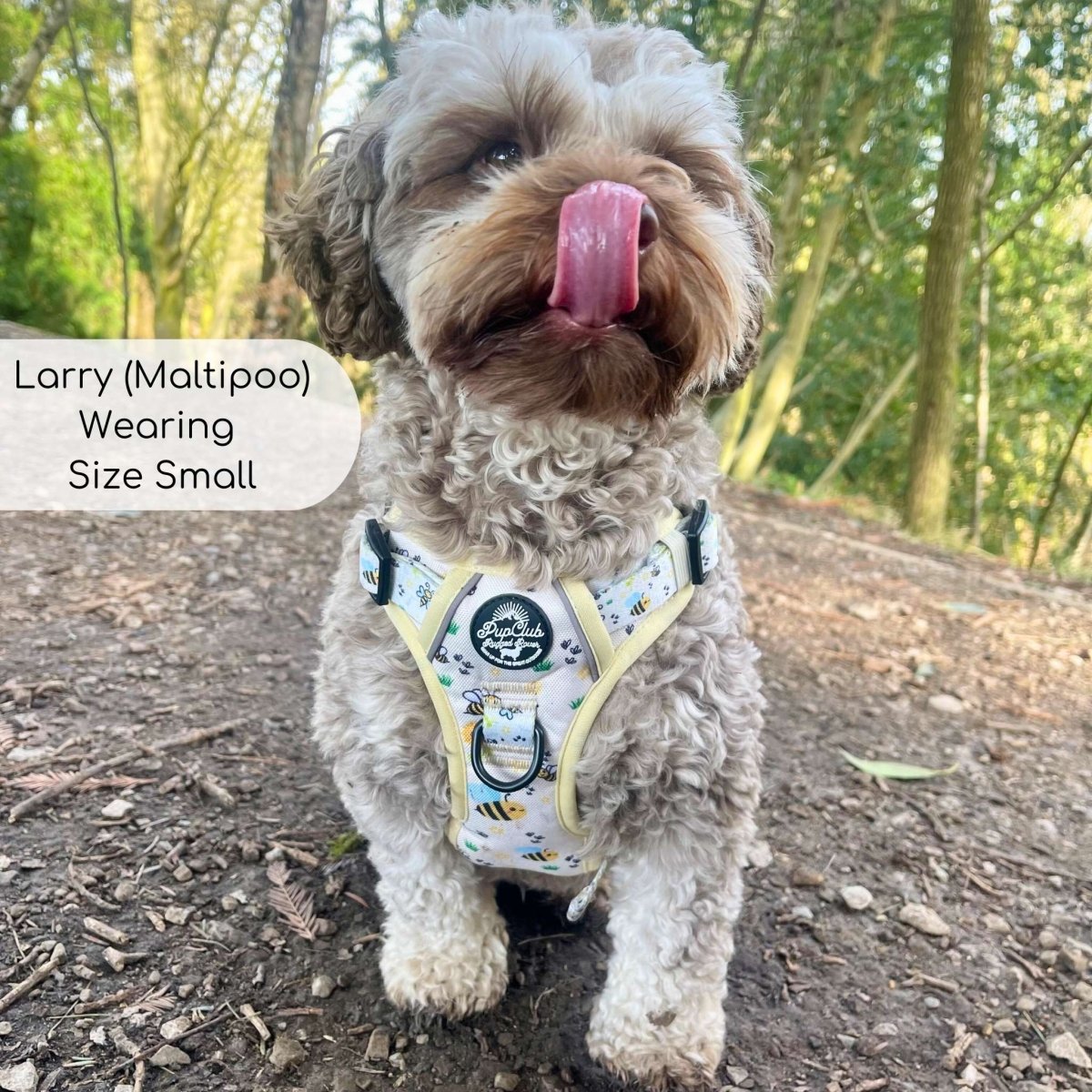 Bee-utiful Summer No Pull Dog Harness