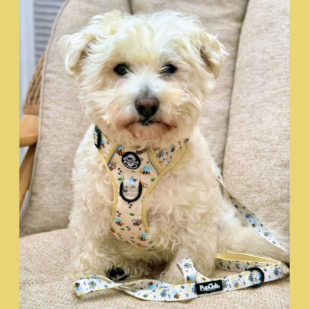 Bee-utiful Summer No Pull Dog Harness