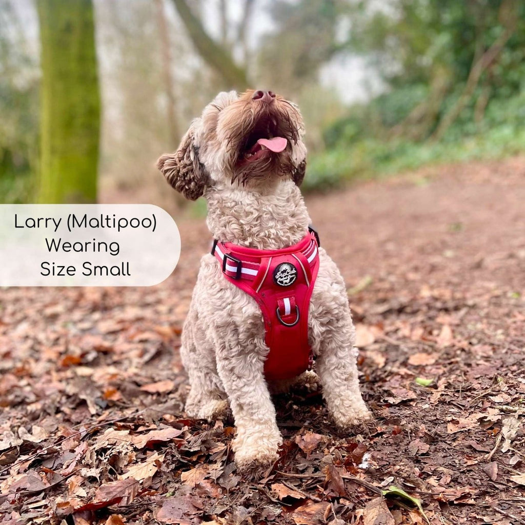 Berry Red Rugged Rover Dog Harness No Pull