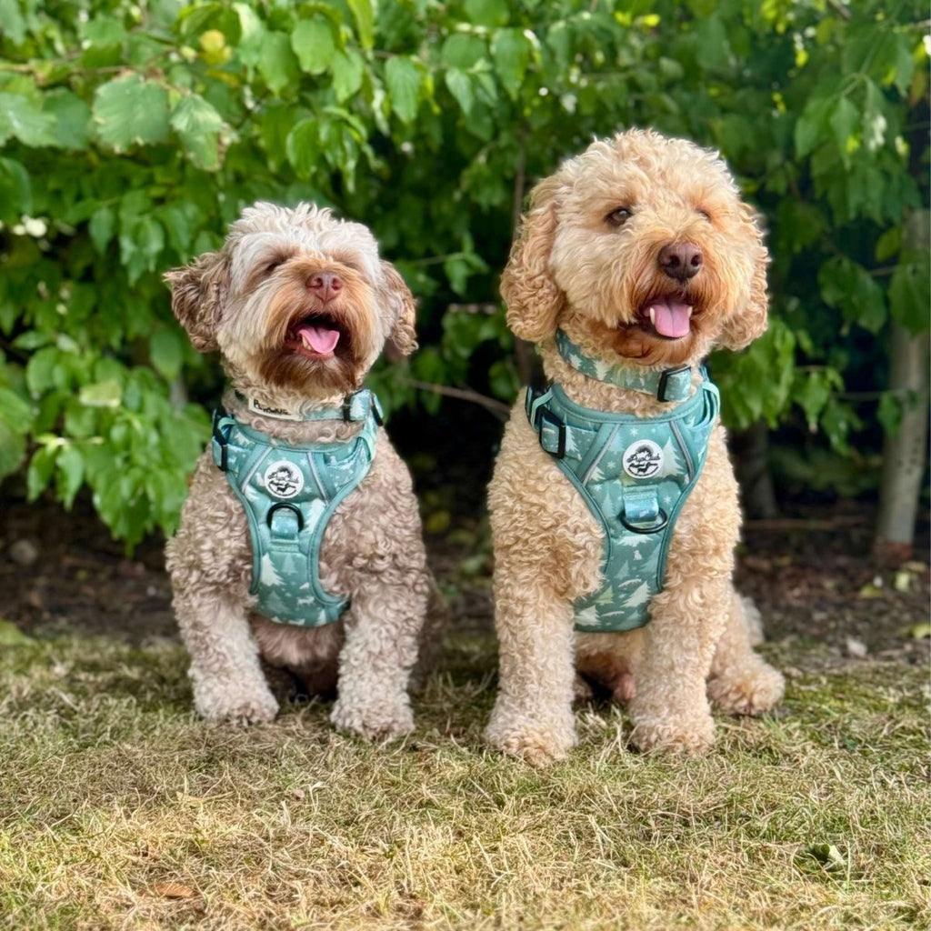 Rugged Rover Harness Evergreen Trails