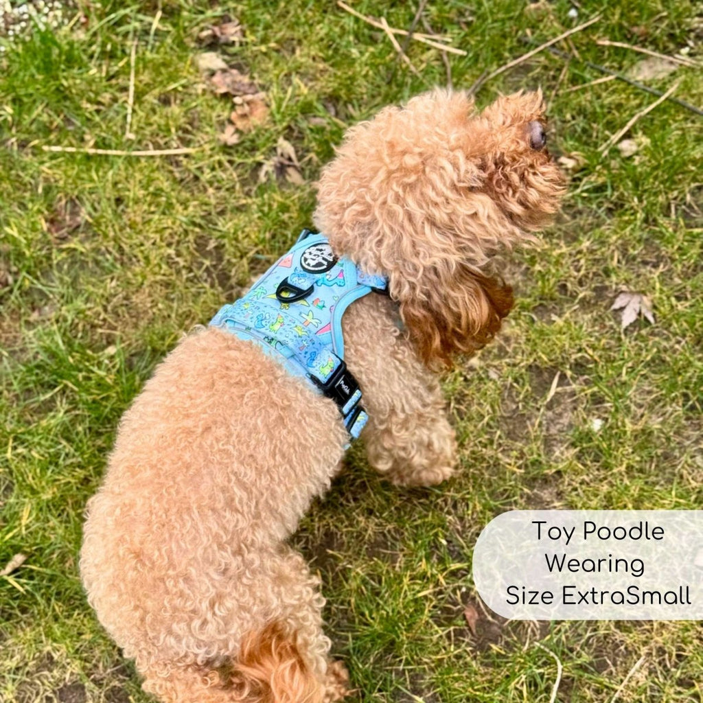 Dinosaur Party No Pull Dog Harness