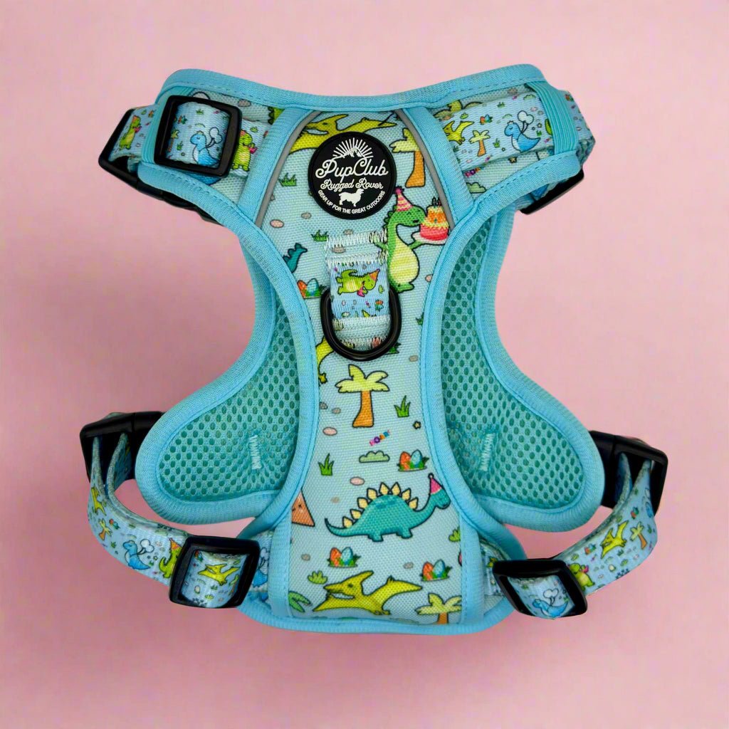 Dinosaur Party No Pull Dog Harness