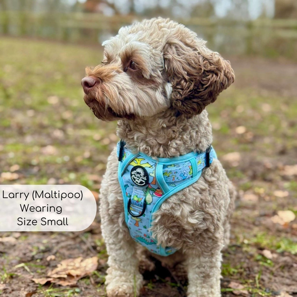 Dinosaur Party No Pull Dog Harness