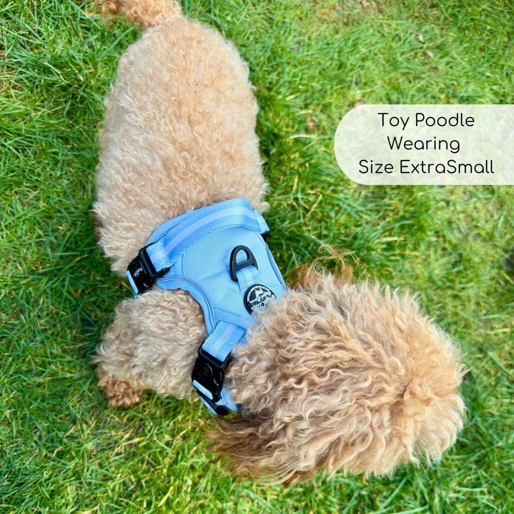 Pastel Blue Rugged Rover Dog Harness