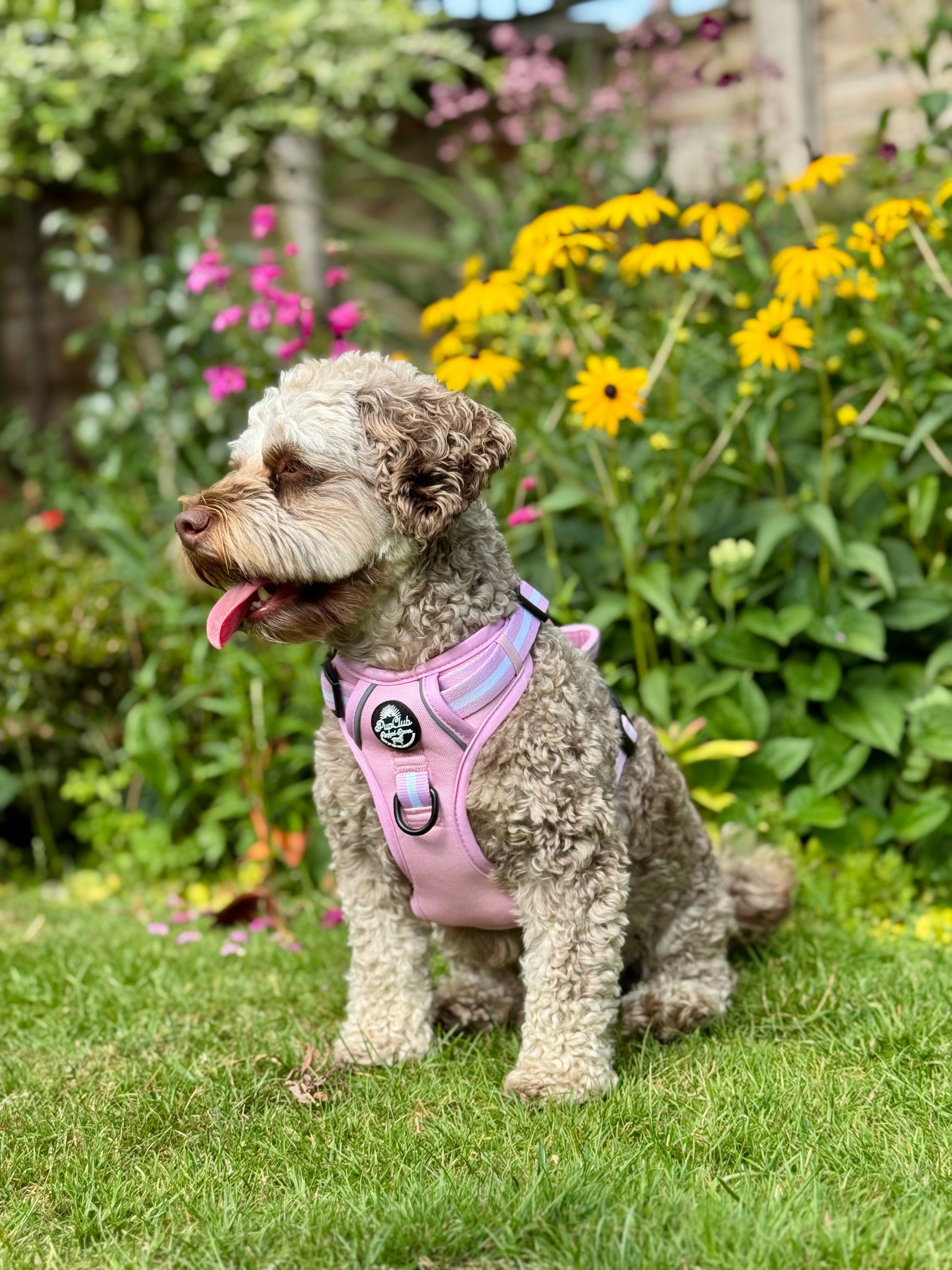 Pastel Pink No Pull Dog Harness with Front and Back Control