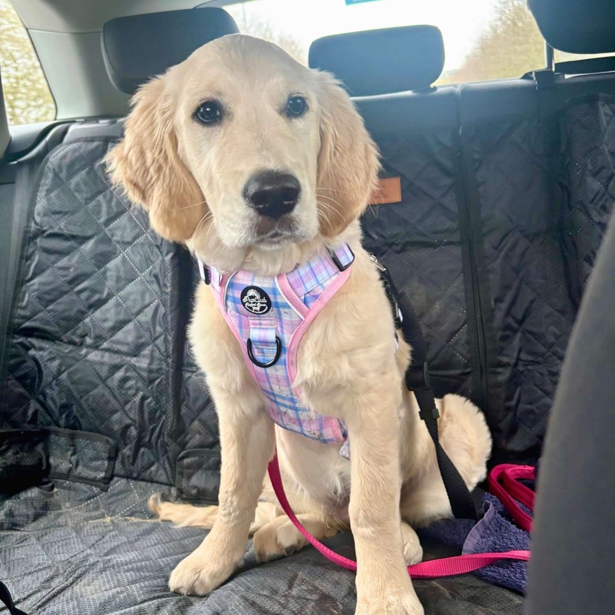 Pink Tartan No Pull Dog Harness