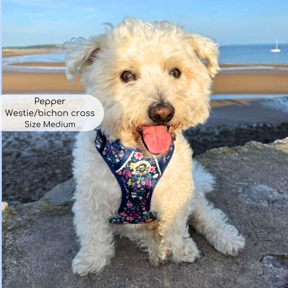 Summer Meadow No Pull Dog Harness