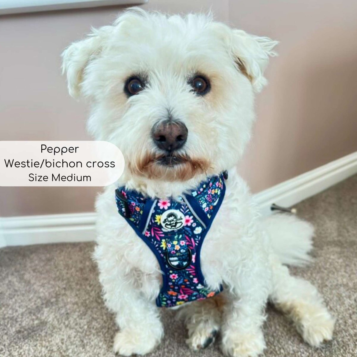 Summer Meadow No Pull Dog Harness