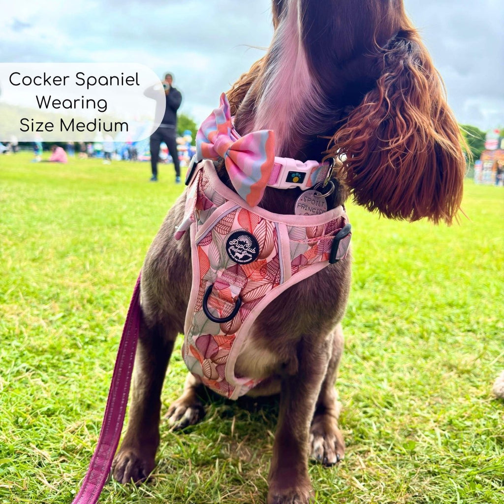 Rugged Rover Harness Autumn Breeze No Pull