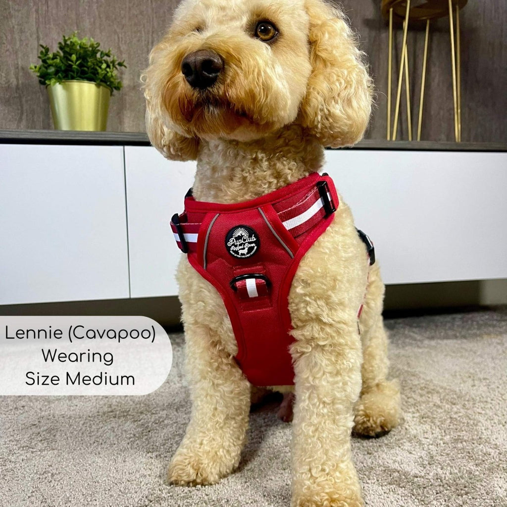 Berry Red Rugged Rover Dog Harness No Pull
