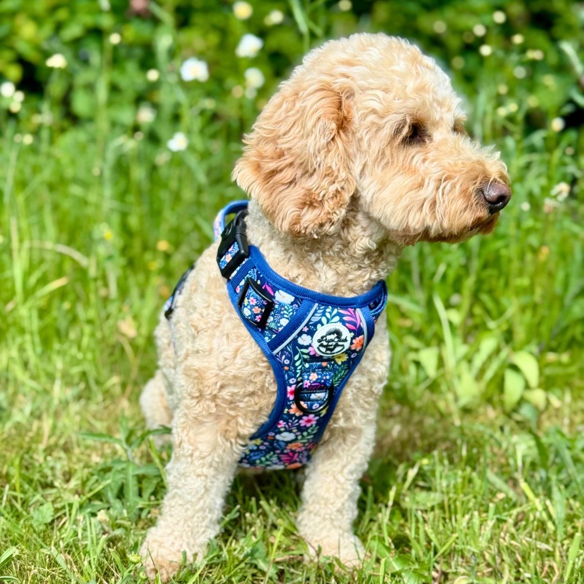 Summer Meadow No Pull Dog Harness