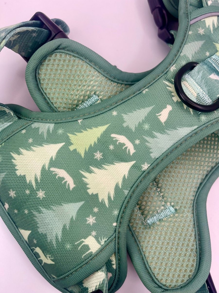 Rugged Rover Harness Evergreen Trails