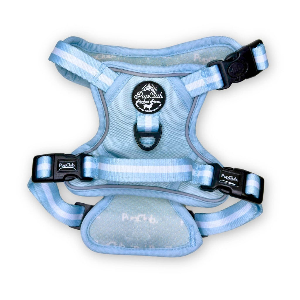 Pastel Blue Rugged Rover Dog Harness