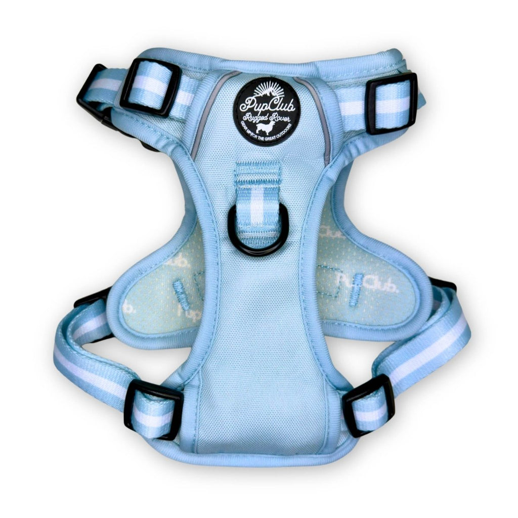 Pastel Blue Rugged Rover Dog Harness