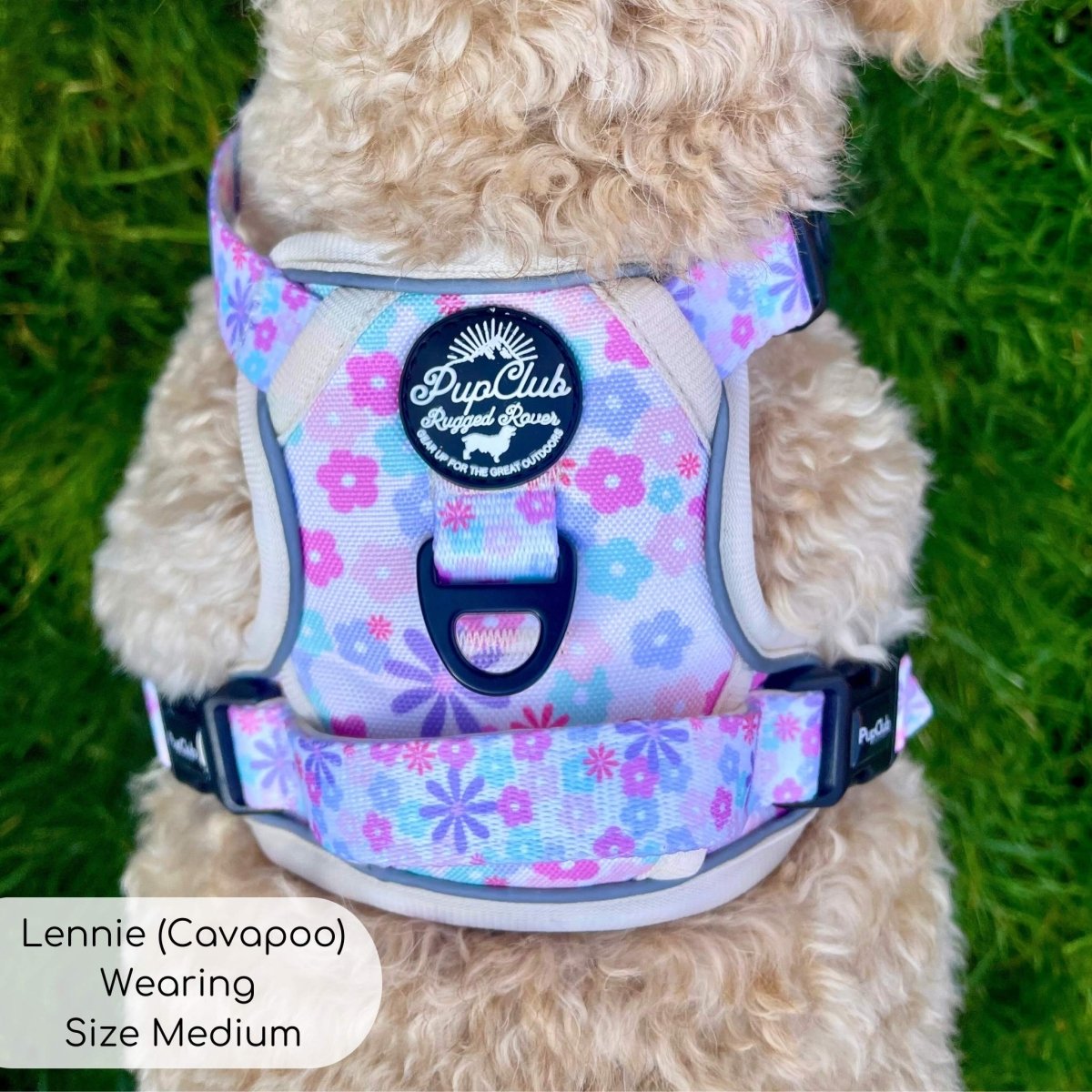 Pretty Petals No Pull Dog Harness