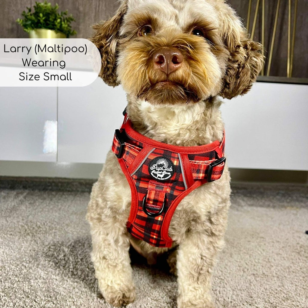 Red Tartan No Pull Dog Harness