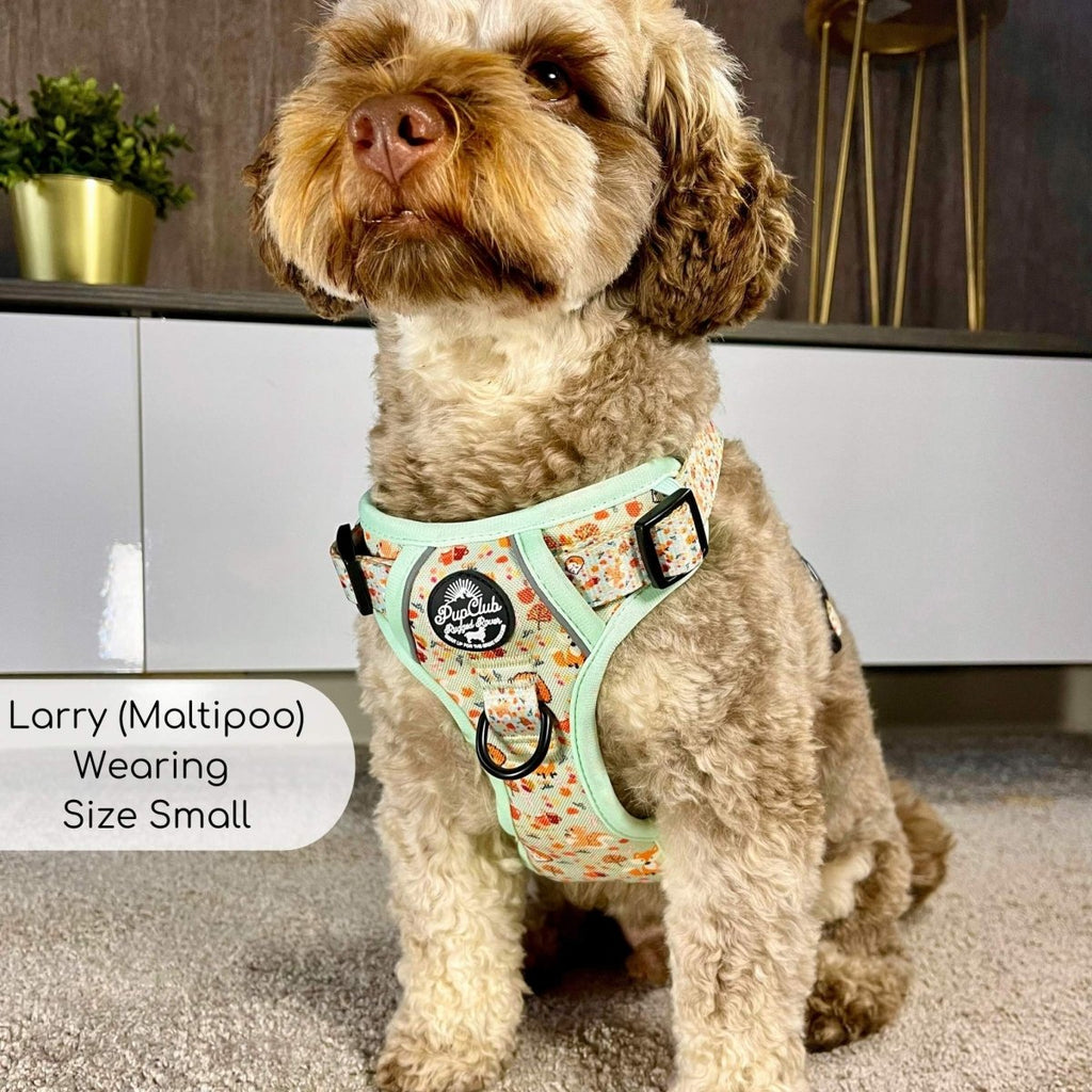 Woodland Friends No Pull Dog Harness