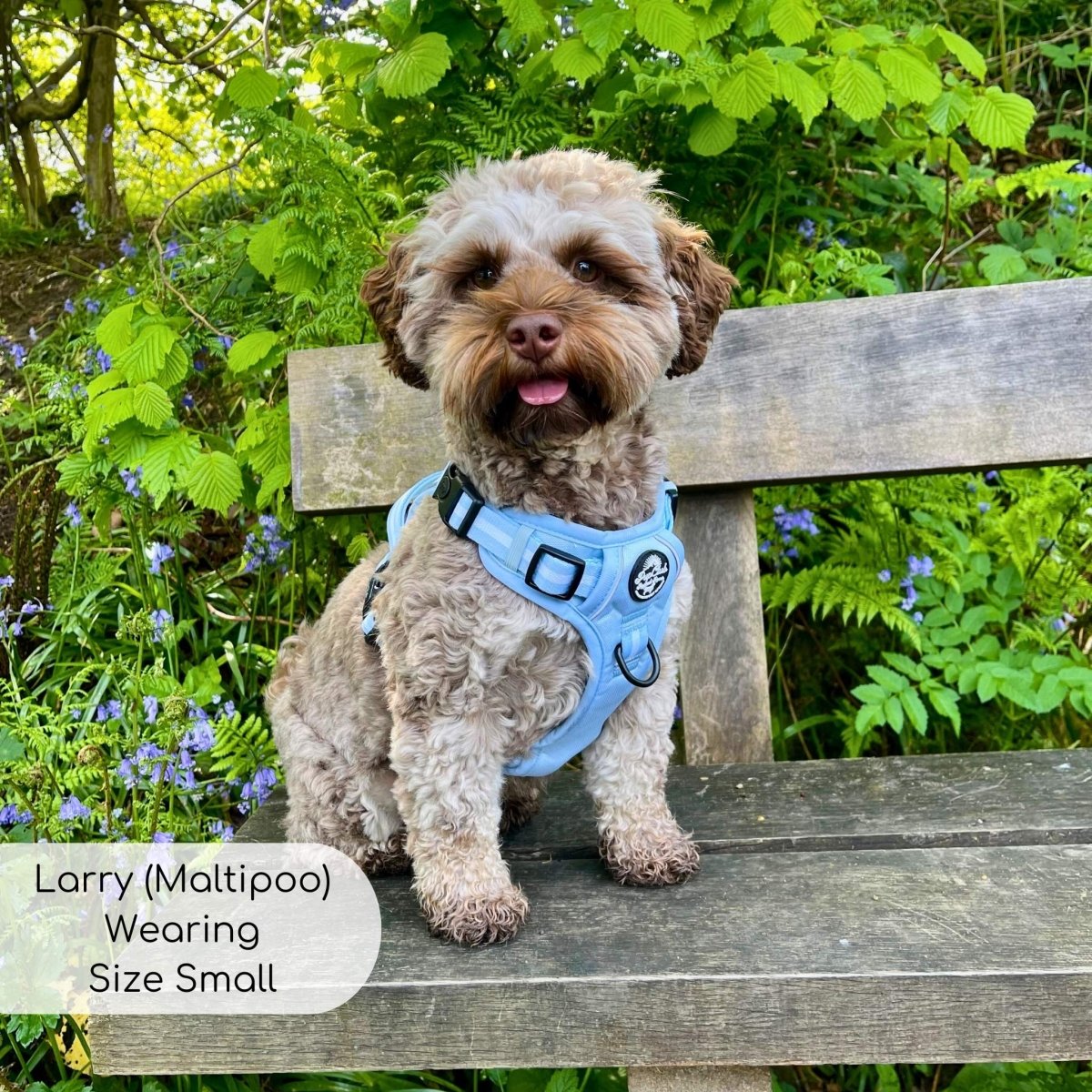Pastel Blue Rugged Rover Dog Harness