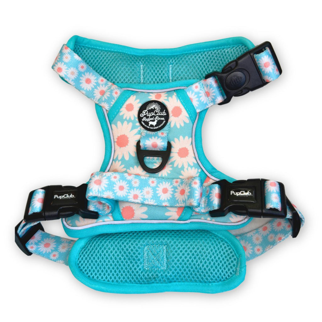 Pastel Daisy No Pull Dog Harness
