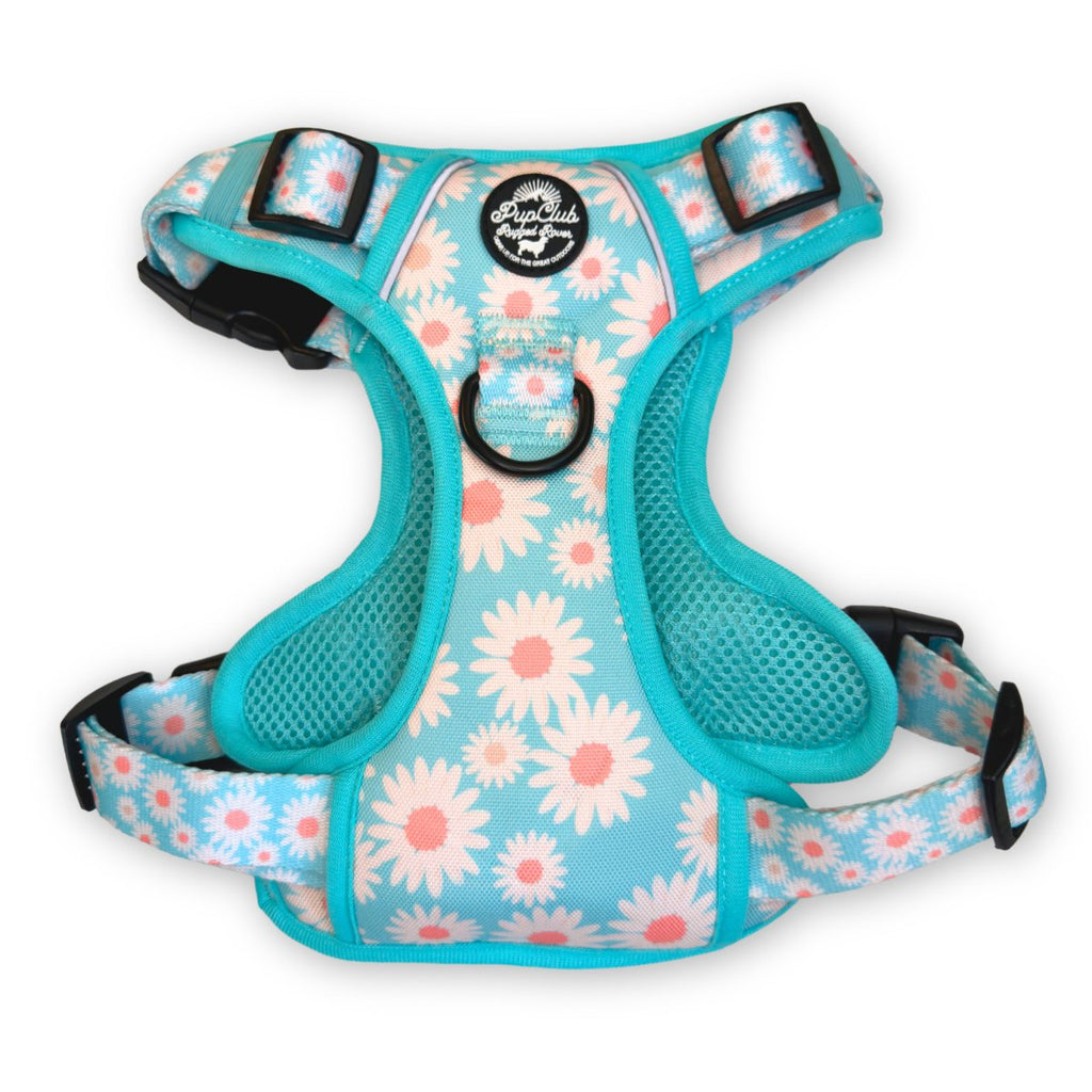 Pastel Daisy No Pull Dog Harness