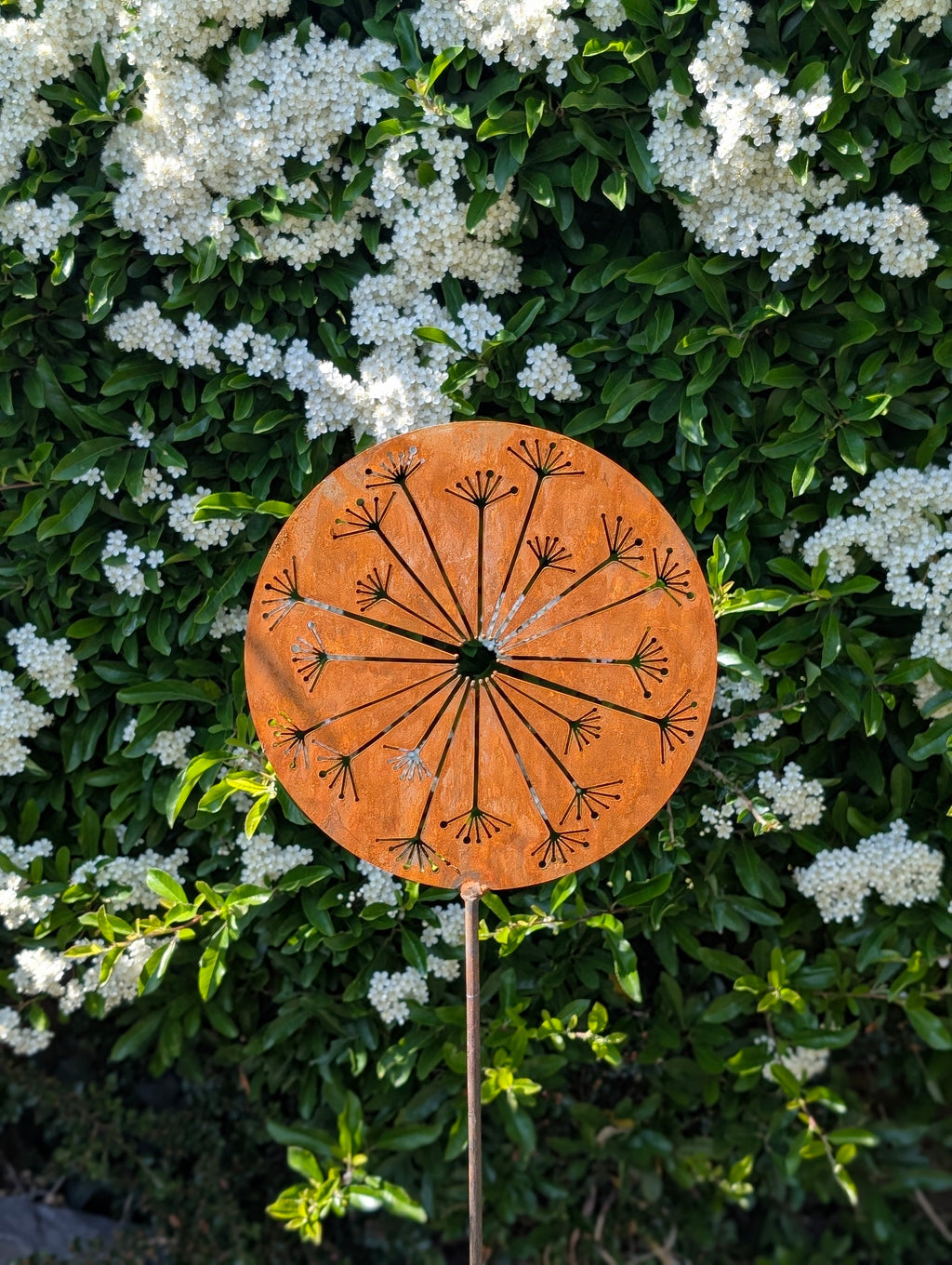 Allium Burst
