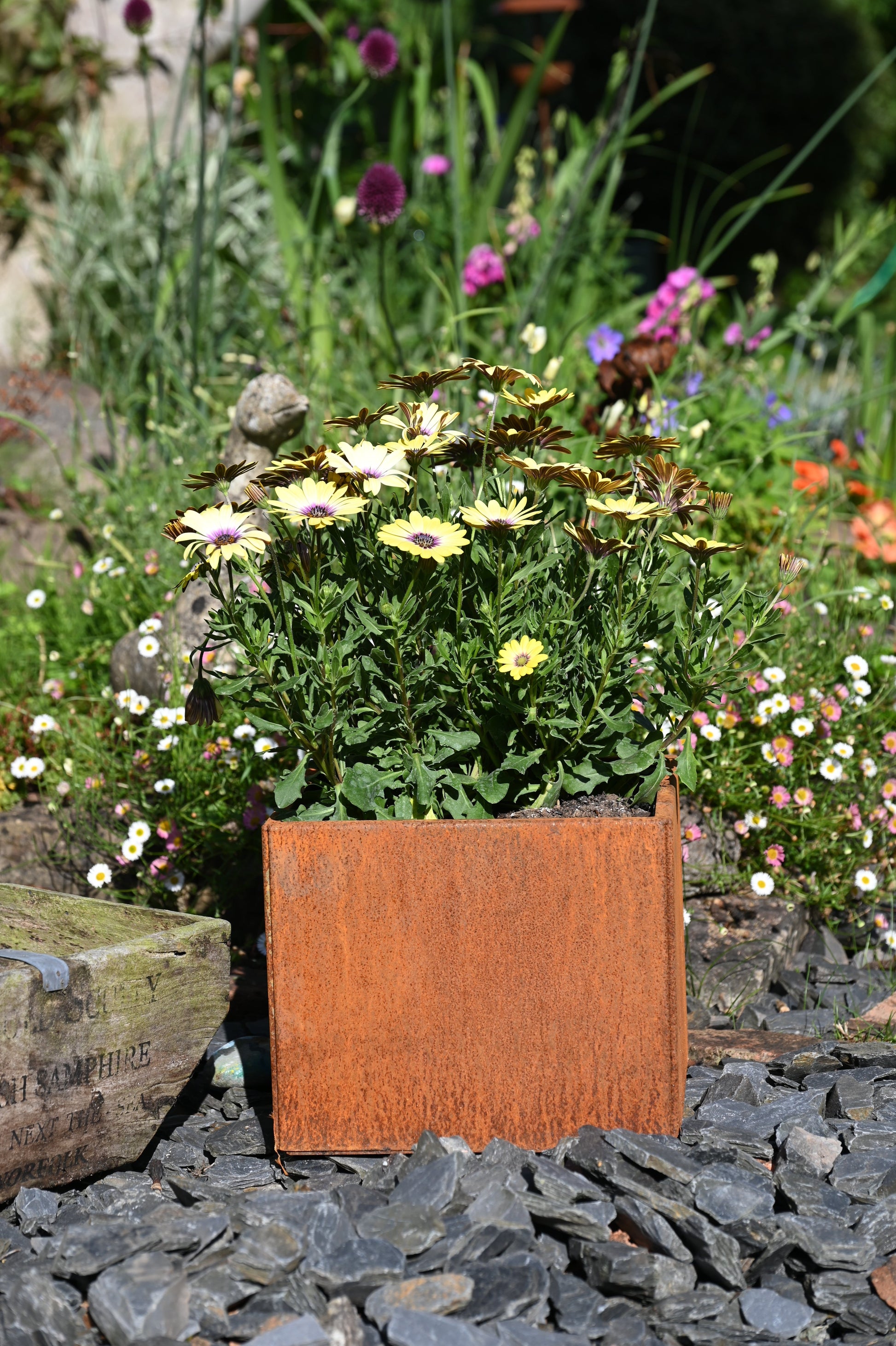 Rusty Square Plant Pot