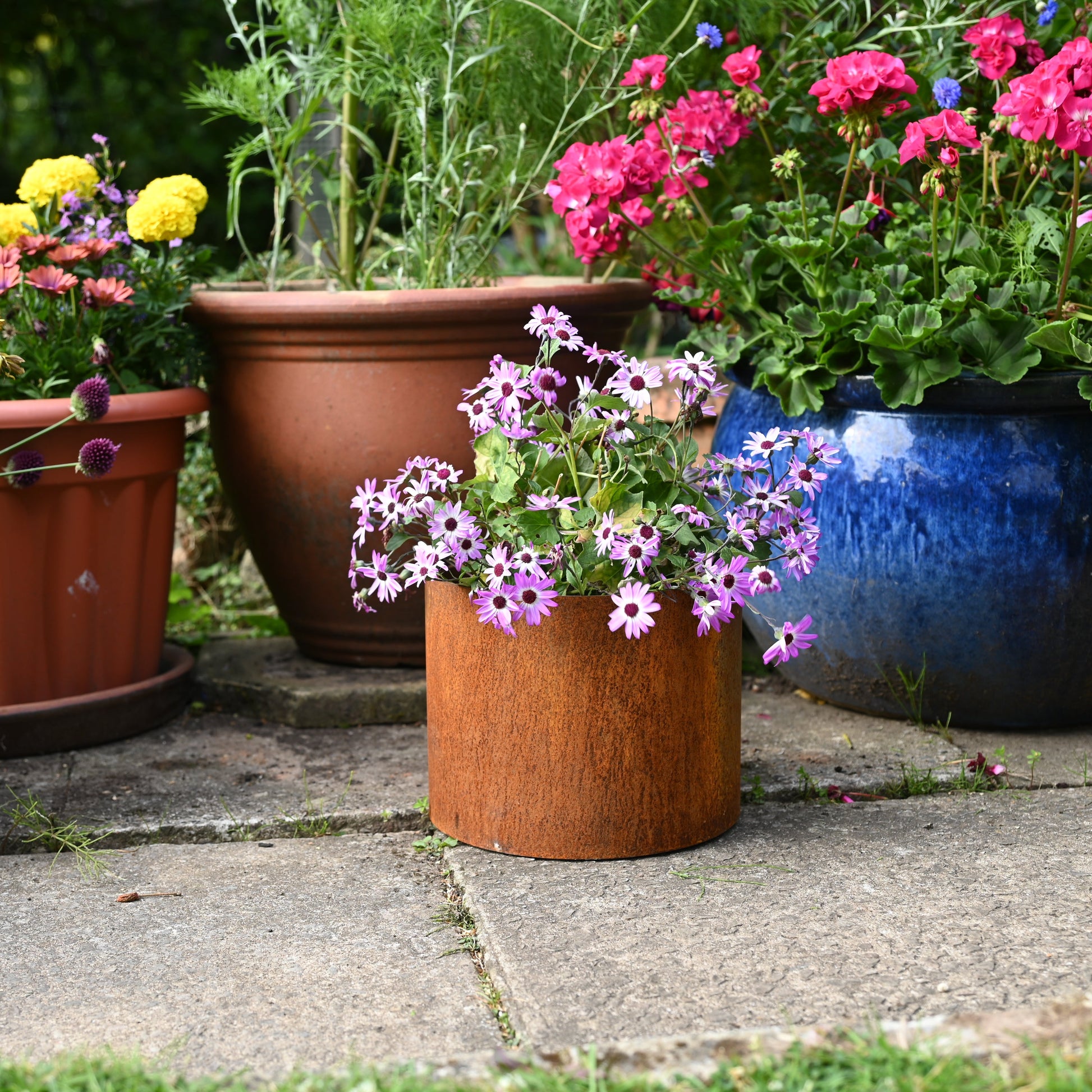 Rusty Plant Pots - Garden Planters