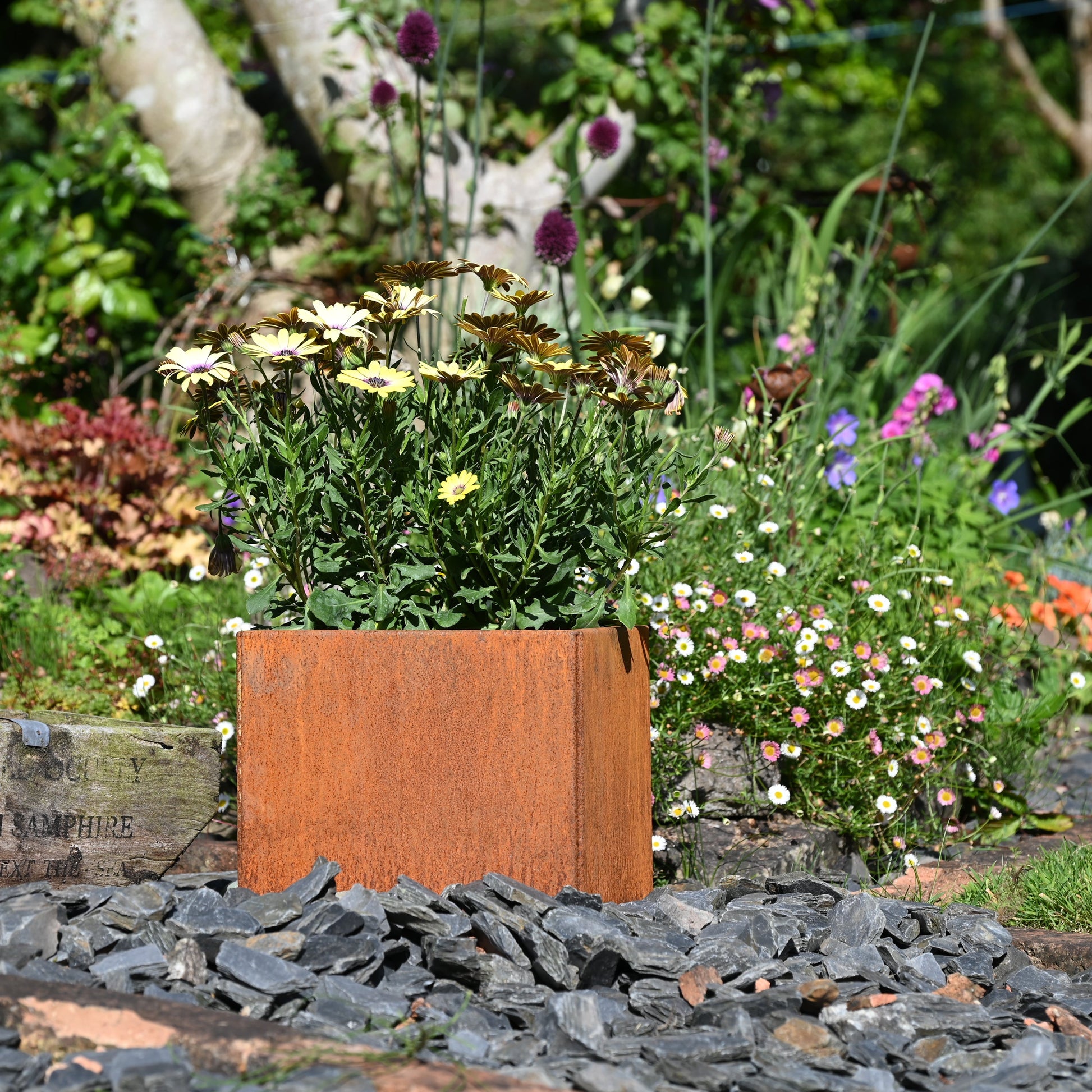 Rusty Square Plant Pot