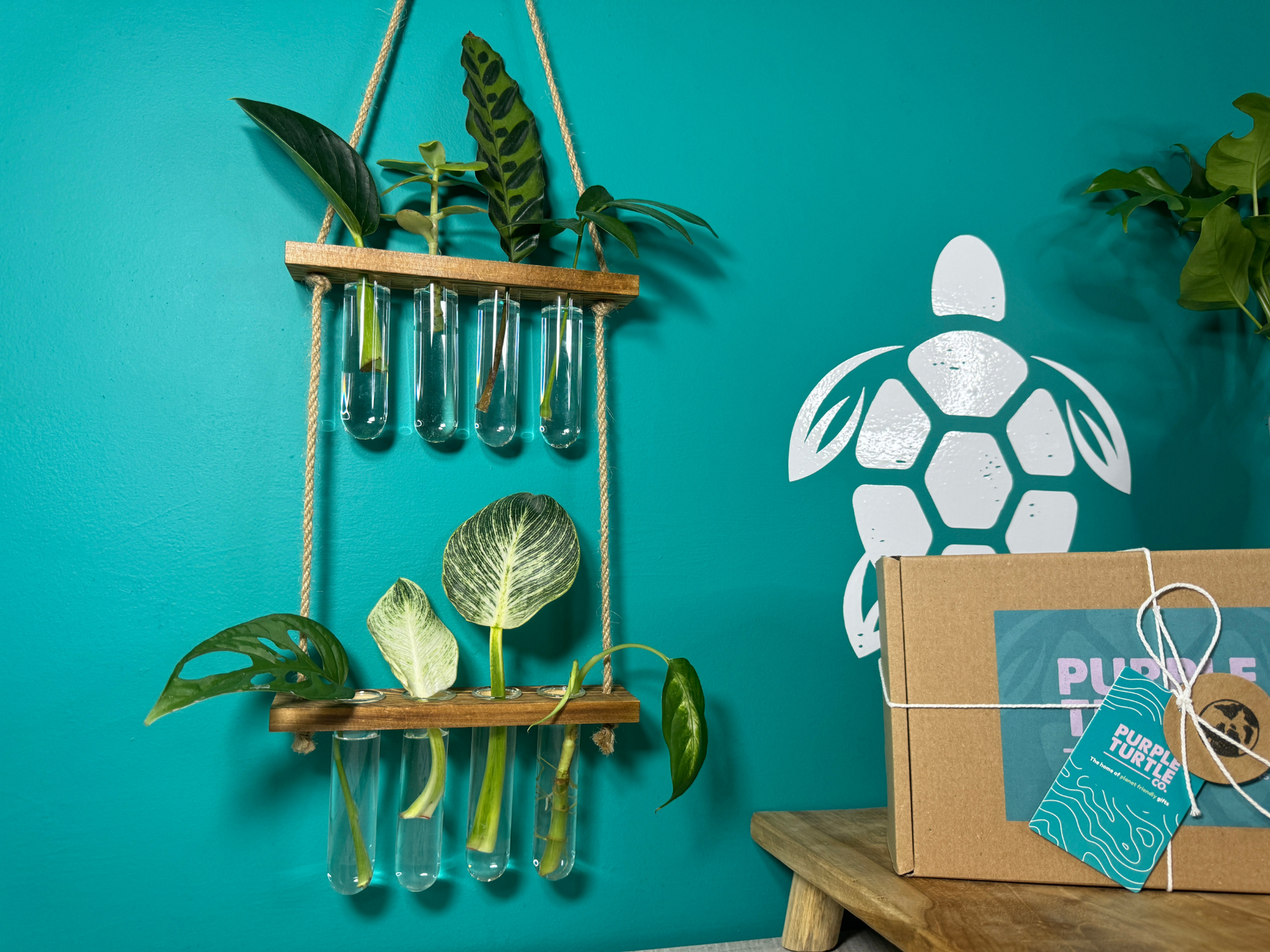 Plant Propagation Gift Set for Home Growers