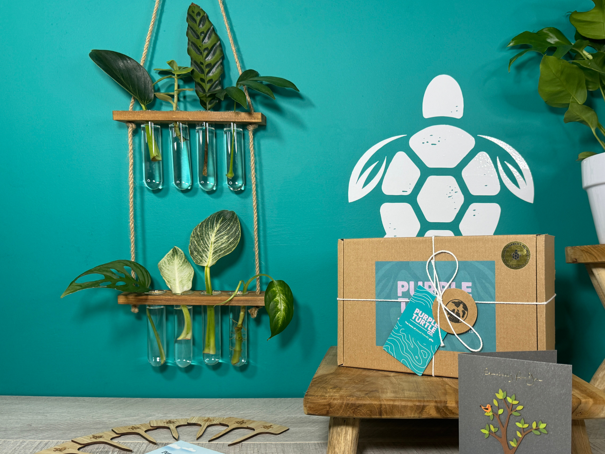 Plant Propagation Gift Set for Home Growers