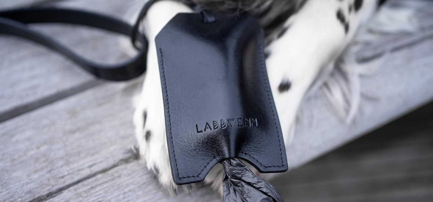 softly lit black leather dog bag dispenser held in hand with a comforting, warm glow