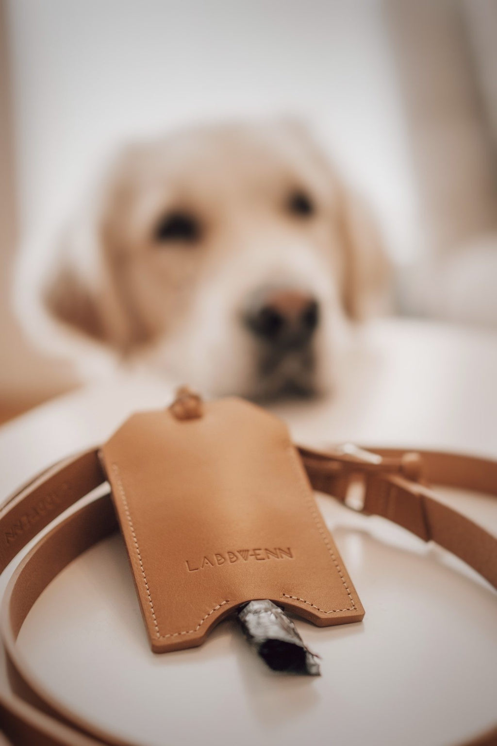 soft camel leather dog bag dispenser held in hand with warm natural lighting