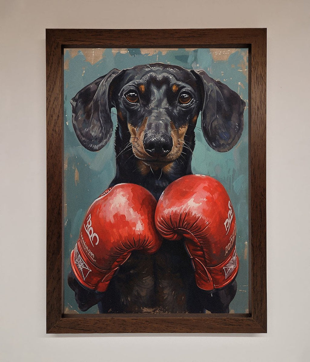 Sausage Dog Boxing Framed Print
