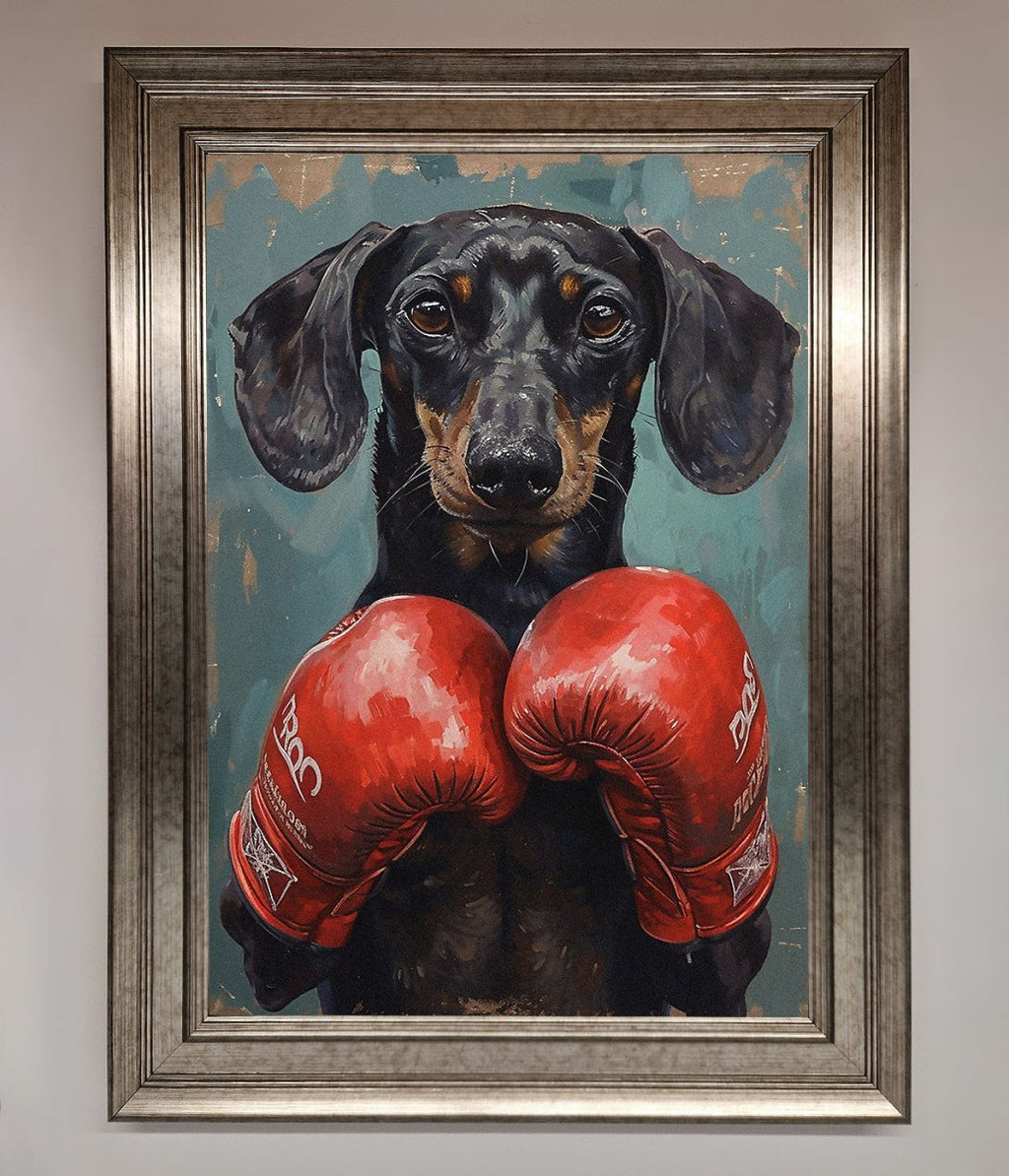 Sausage Dog Boxing Framed Print